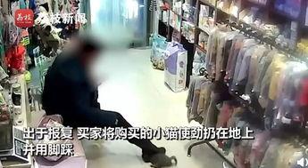 南宁外卖店爆料事件视频,揭露行业潜规则与食品安全疑云